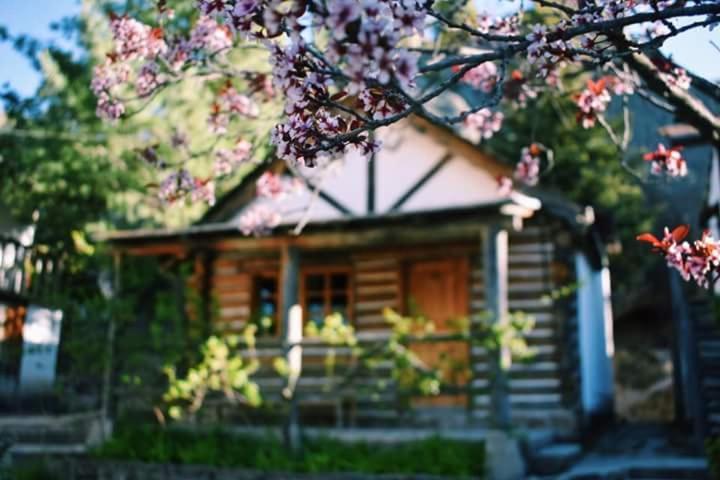 Cabanas Montebello Inn Креэль Экстерьер фото